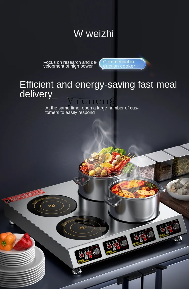 Induction Cooker - 상업용 인덕션 쿡탑, 다중 화구, 3500W